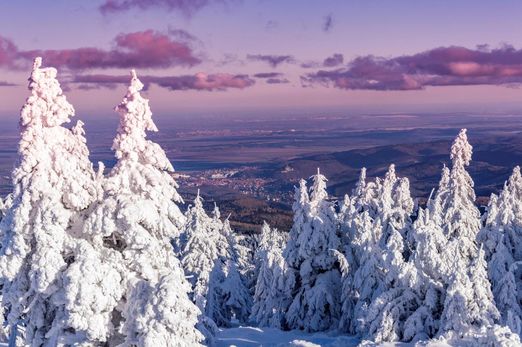 Ferienwohnungen An Der Bimmelbahn Wernigerode Bagian luar foto
