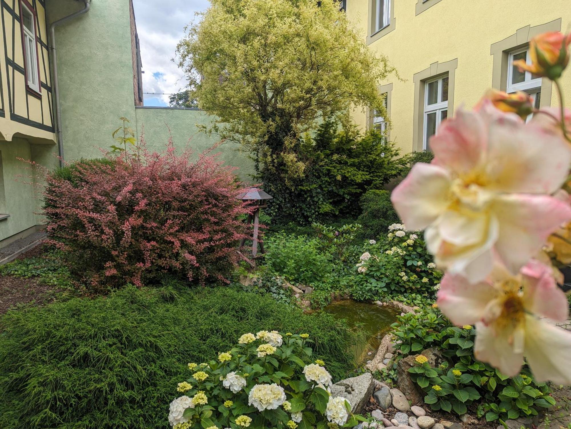 Ferienwohnungen An Der Bimmelbahn Wernigerode Bagian luar foto